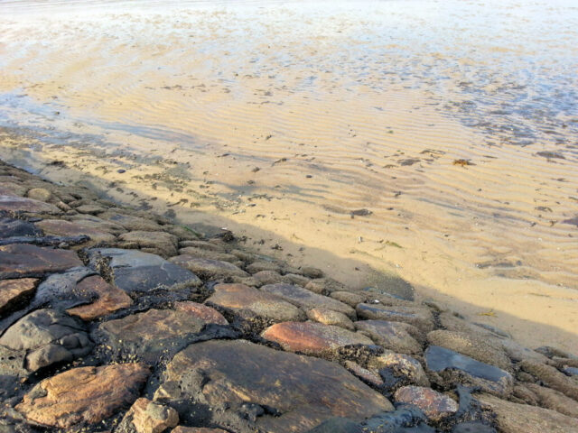 alter Strand von Dagebüll; vor der Deichsanierung 2018