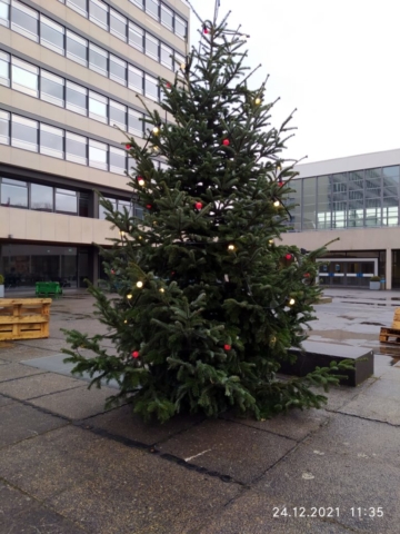 Weihnachten 2021 Technische Universität Braunschweig